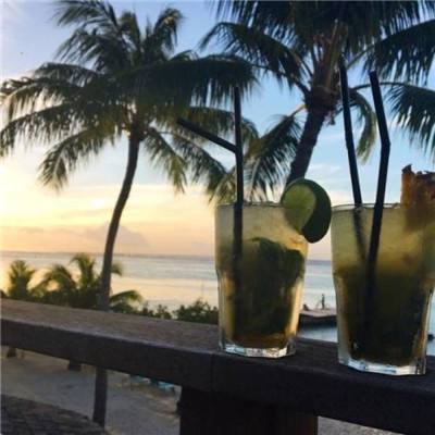 山海神兽录红包版下载